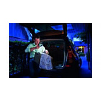 SVETILKA Penlight Professional PHILIPS LPL19B1