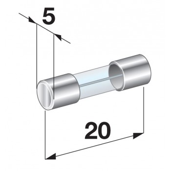 VAROVALKA GLASS 10A 5x20
